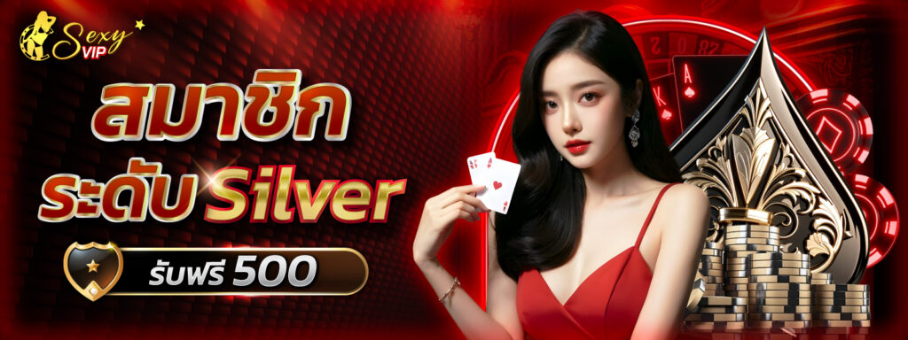 โปรโมชั่น silver รับเพิ่ม500