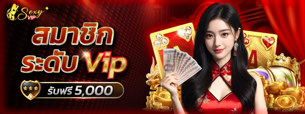 โปรโมชั่น VIP รับเพิ่ม 5000 ฟรี